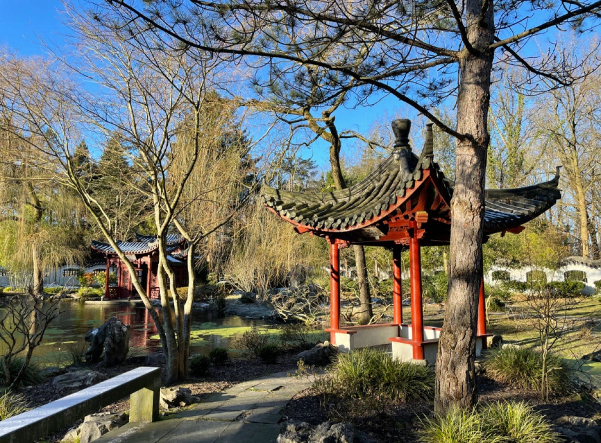 Lezing: In de ban van de Ming Tuin